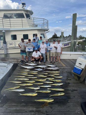 Country Girl Charters, Tuna and Dolphin