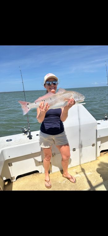 Gecko Sportfishing, Inshore trip