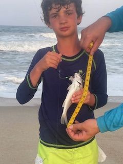 OBX Bait & Tackle Corolla Outer Banks, Corolla Fish Report