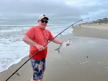 OBX Bait & Tackle Corolla Outer Banks, Corolla Fish Report