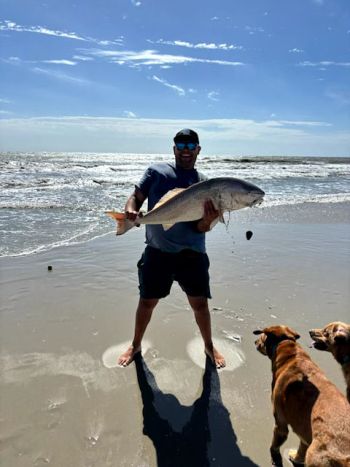 OBX Bait & Tackle Corolla Outer Banks, Corolla Fish Report