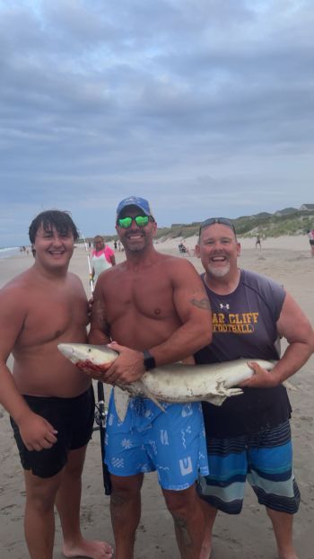 OBX Bait & Tackle Corolla Outer Banks, Corolla Fish Report
