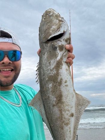 OBX Bait & Tackle Corolla Outer Banks, Corolla Fish Report