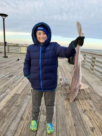 Jennette's Pier, New Year's Dogfish