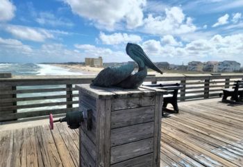Jennette's Pier, Clean Surf with a Side of Sea Mullet