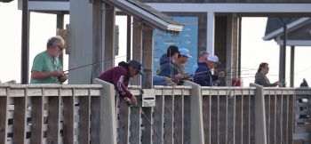 Jennette's Pier, Jigging for Bluefish