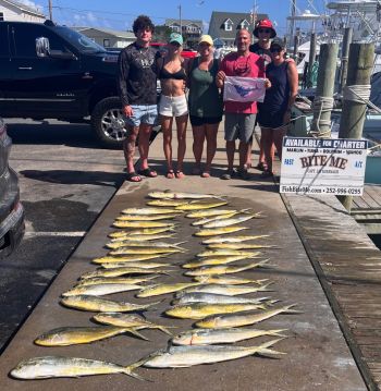 Bite Me Sportfishing Charters, Dolphins and a Sailfish