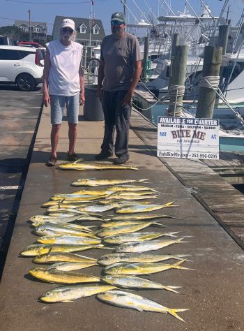 Bite Me Sportfishing Charters, Dolphins with old friends