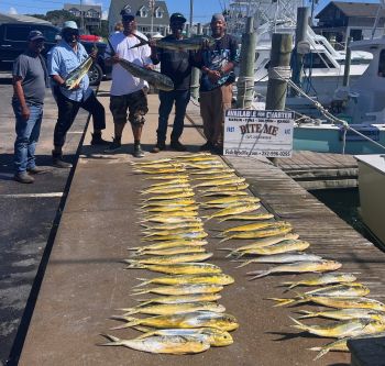 Bite Me Sportfishing Charters, Pretty Day with Dolphin