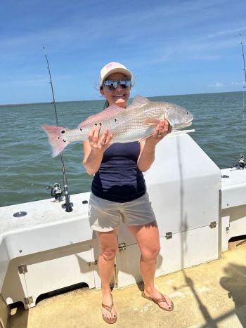 Gecko Sportfishing, Inshore Trip