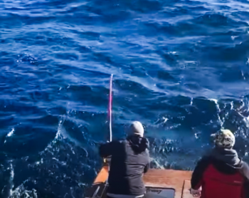 Oregon Inlet Fishing Center, All Part of the Experience