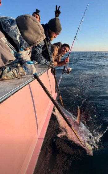 Oregon Inlet Fishing Center, Fun Day with the Bluefins!