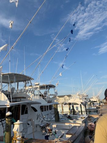Pirate's Cove Marina, Monday Madness!