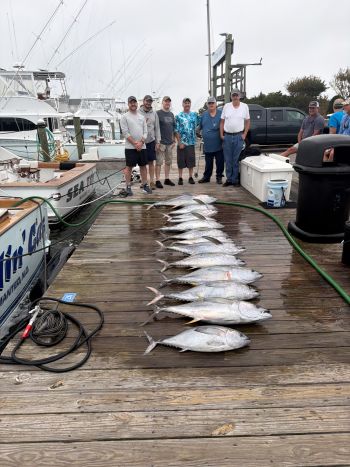 Pirate's Cove Marina, Saturday's Tuna Report