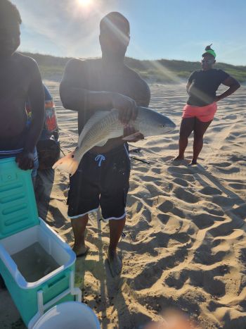 OBX Bait & Tackle Corolla Outer Banks, Corolla Fish Report