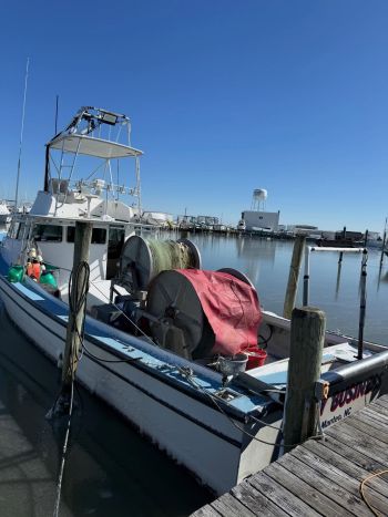 Risky Business Shrimping & Crabbing Charters, It’s a cold day in Wanchese!
