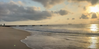 Natural Art Surf Shop, Tuesday, August 25th