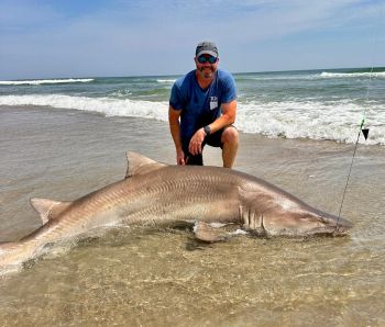 OBX Bait & Tackle Corolla Outer Banks, Corolla Fish Report