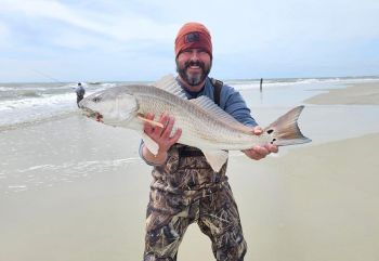 Tradewinds Tackle Shop, Red Drum and Bluefish