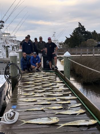 Pirate's Cove Marina, Fish Taco Friday