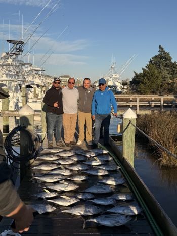 Pirate's Cove Marina, Saturdays Are For The Blackfin!