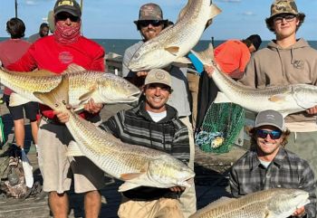 TW’s Bait & Tackle, Drum Bites... Everywhere!