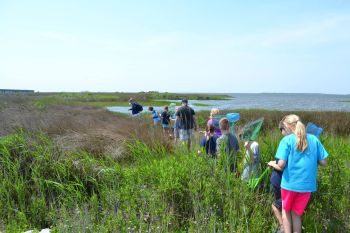 North Carolina Aquarium on Roanoke Island, Wetlands Walk