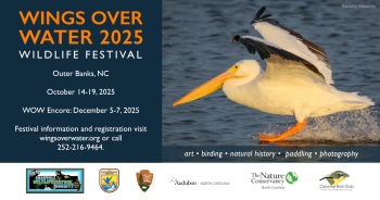 Wings Over Water Festival, Wings Over Water Festival
