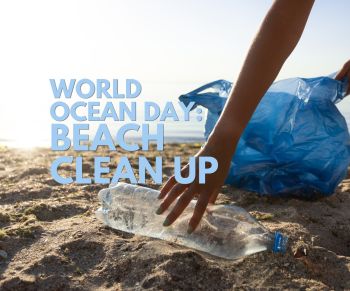 North Carolina Aquarium on Roanoke Island, World Ocean Day Beach Clean Up