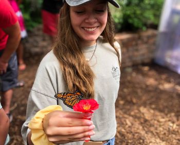 Elizabethan Gardens, Butterfly House Release