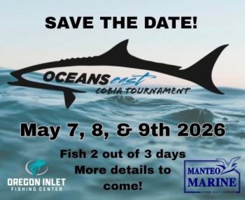Oceans East Bait & Tackle Nags Head, OBX Cobia Tournament