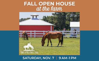 Corolla Wild Horse Fund, Fall Open House at the Farm