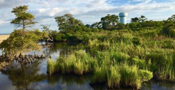 Duck Town Park, Winter Sound and Park Clean-Up