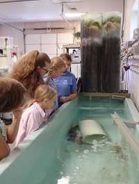North Carolina Aquarium on Roanoke Island, Behind the Scenes: Health Center