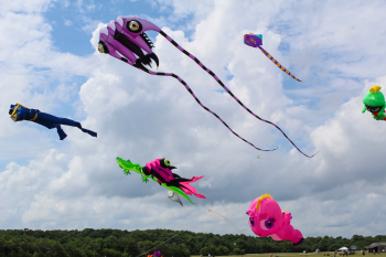 Kitty Hawk Kites, 47th Annual Wright Kite Festival