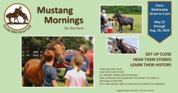 Corolla Wild Horse Fund, Mustang Mornings on the Farm