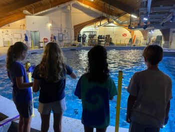 North Carolina Aquarium on Roanoke Island, Behind the Scenes: Shark Feeding