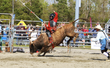 The Northern Outer Banks, Currituck Bulls and BBQ (SOLD OUT)
