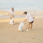 Pea Island National Wildlife Refuge, Beach Cleanup