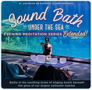 North Carolina Aquarium on Roanoke Island, Sound Bath Under the Sea