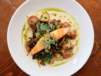 Blue Water Grill & Raw Bar, Fish of the Day