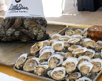 Win 2 Tickets to Roanoke Island Oyster Shellabration & BBQ Win 2 Tickets to Roanoke Island Oyster Shellabration & BBQ