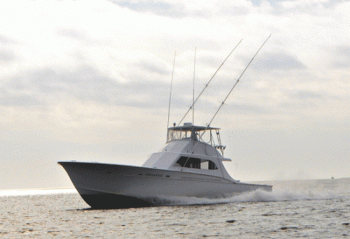 Boat &amp; Captain | Oregon Inlet Fishing Center | Outer Banks, NC