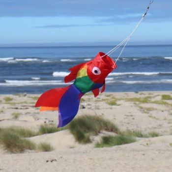 Our Products, Kitty Hawk Kites