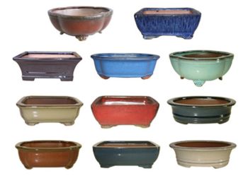 Silver Bonsai Gallery, Bonsai Tools & Supplies