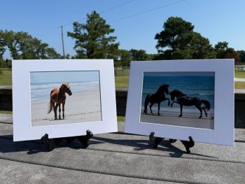 Corolla Wild Horse Fund, Photo Prints