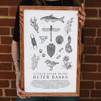Sticky Bottom Oyster Company, Outer Banks Field Guide Poster