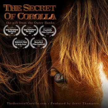 Corolla Wild Horse Fund, Digital Downloads