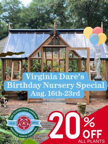 Elizabethan Gardens, 20% Off All Plants