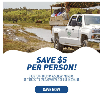 Kitty Hawk Kites, Save $5 on Horse Tours